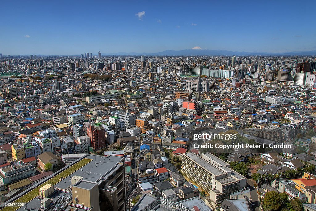 Bird eye view