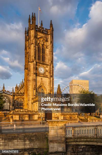 the manchester cathedral - manchester cathedral stock pictures, royalty-free photos & images