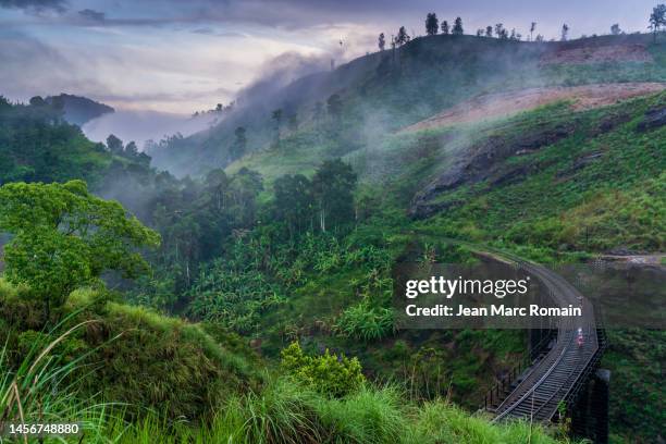 landscape of hills and railway bridge - sri lanka train stock pictures, royalty-free photos & images