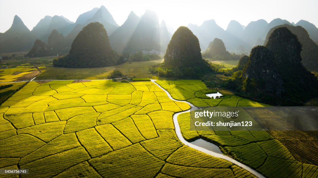 Landscape and pastoral