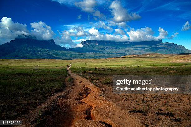 road to mount roraima - adalbertop ストックフォトと画像