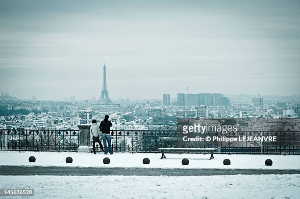 paris from parc de saint-cloud - paris hiver photos et images de collection