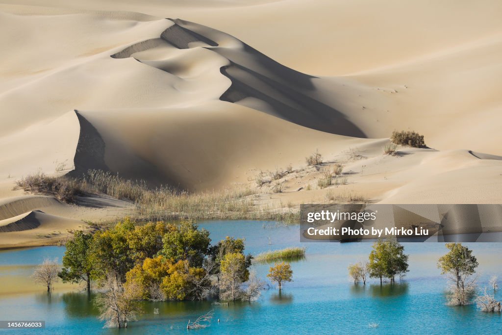 Wonderland in desert