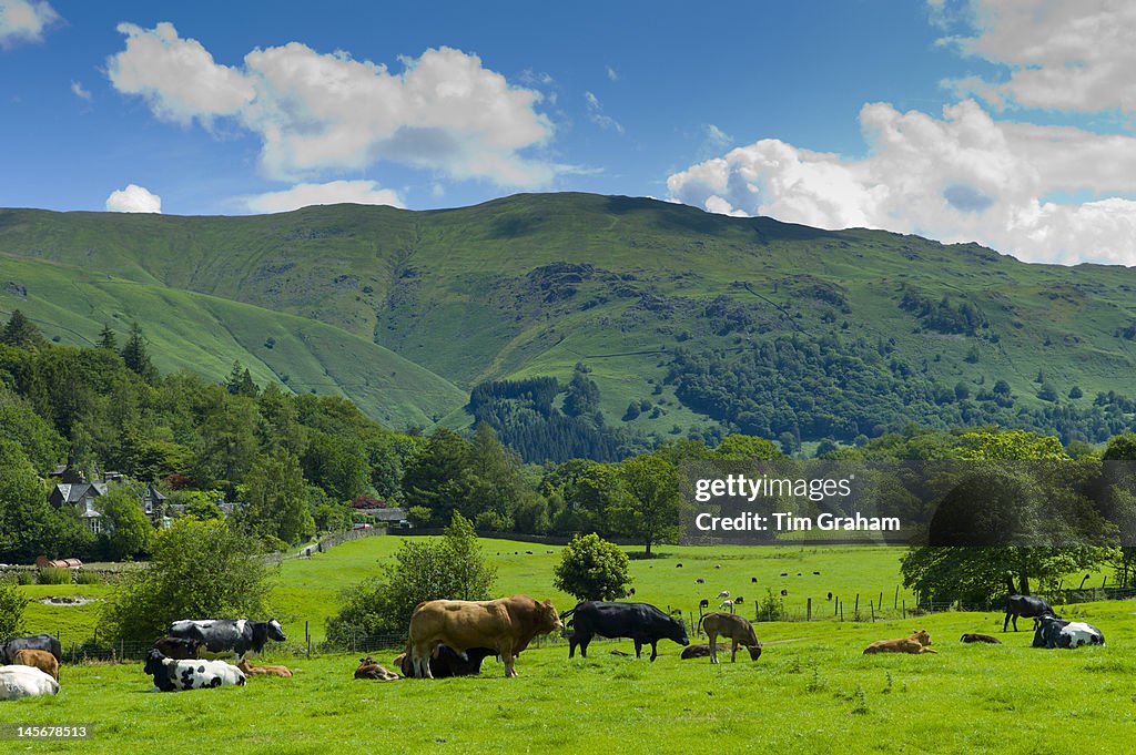 Easedale, The Lake District, UK