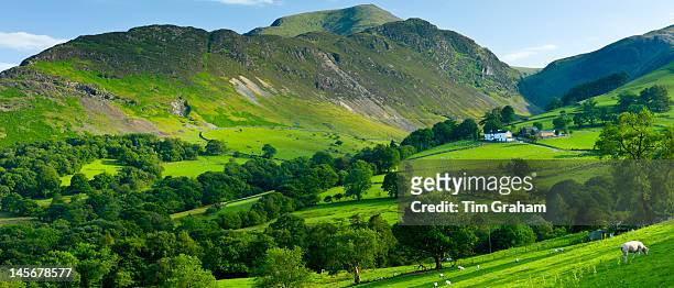 hill farm and fells in the lake district, uk - green hills stock pictures, royalty-free photos & images