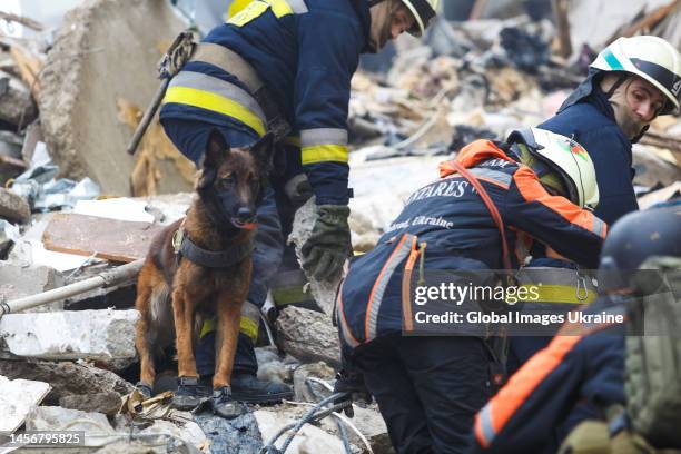 Rescuers use a search-and-rescue dog in searching people trapped under the rubble of a high-rise residential building hit by a missile on January 15,...