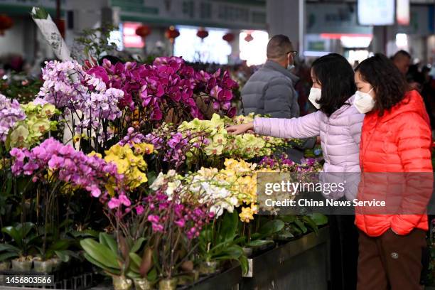 People shop for flowers at the Dounan Flower Market in preparation for the Chinese New Year, the Year of the Rabbit, on January 16, 2023 in Kunming,...