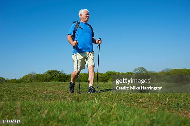 retired male nordic walking in countryside - hiking pole stockfoto's en -beelden