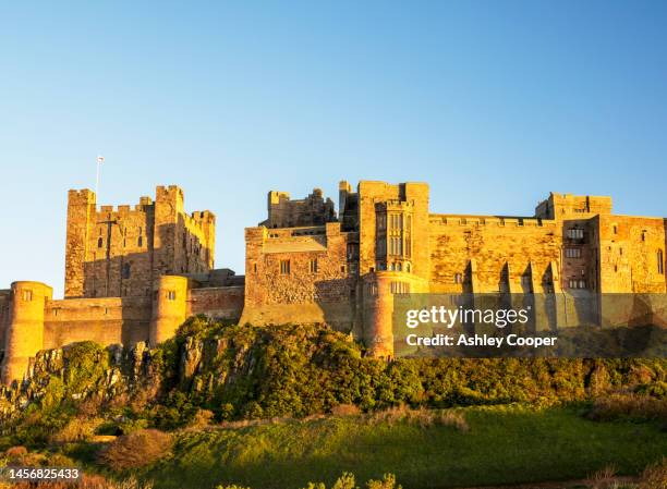 glowing light at sunrise on bamburgh castle, northumberland, uk. - bamburgh castle stock pictures, royalty-free photos & images