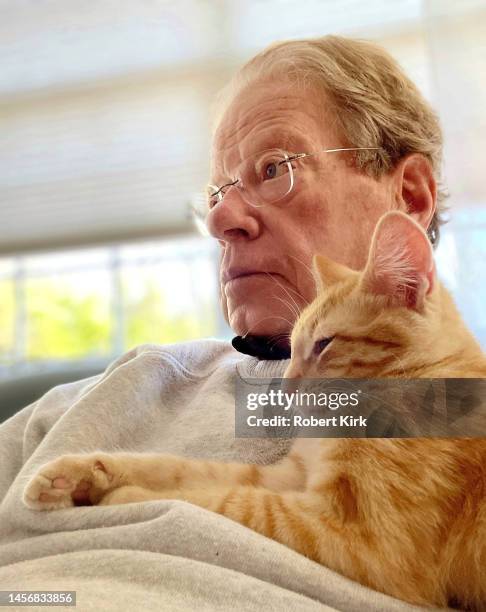 anciano y gato atigrado - hairy old man fotografías e imágenes de stock