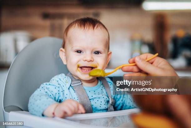 portrait of cute little baby boy eating his lunch. - series debut stock pictures, royalty-free photos & images