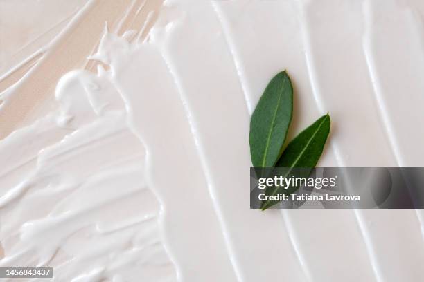 smears of white face cream in macro. close up of beauty product with green leaves and copy space - jojoba stockfoto's en -beelden