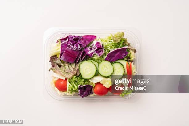 mixed vegetable salad in a takeout plastic lunch box - plastic bowls fotografías e imágenes de stock