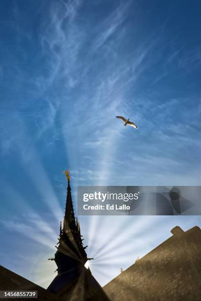mont saint michel steeple and seagull - steeple stock pictures, royalty-free photos & images