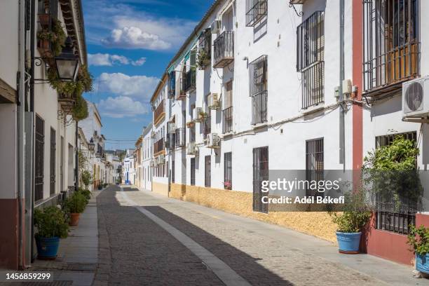 old street in cordoba, spain - cordoba spanien stock-fotos und bilder