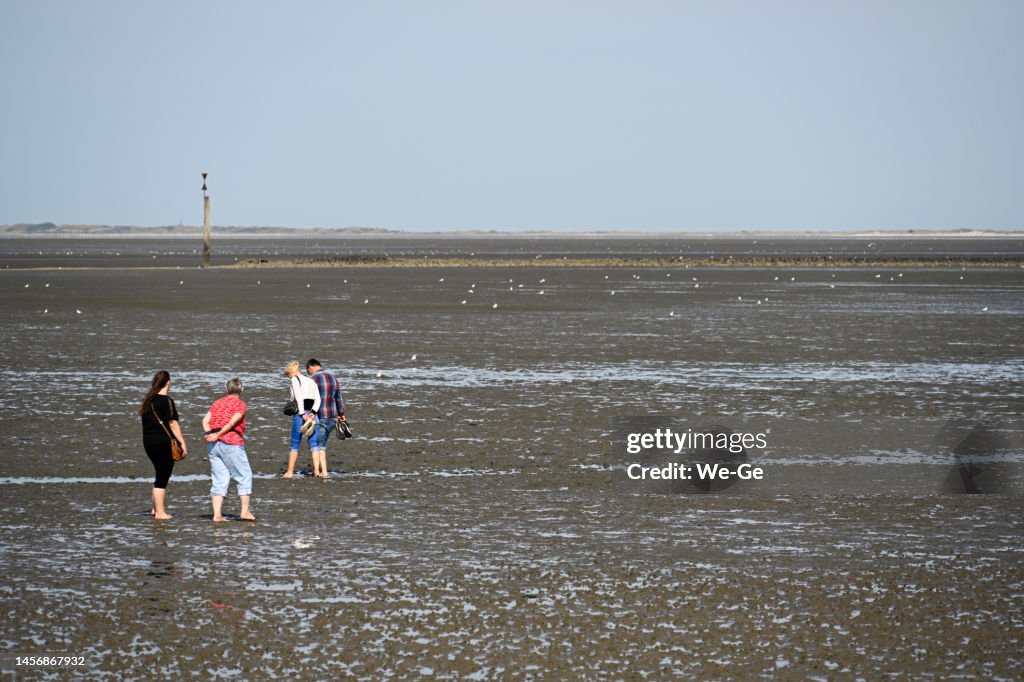 Mudflat walk on the North Sea beach.