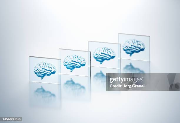 brain images in various resolutions - brain differences stock pictures, royalty-free photos & images
