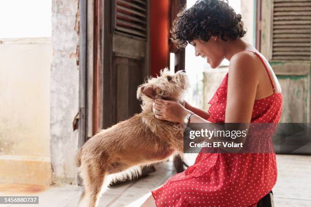 young hispanic woman hugging a cute old dog at home - greater antilles stock pictures, royalty-free photos & images