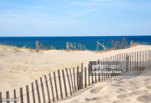 sand fence at empty beach - cape cod stockfoto's en -beelden