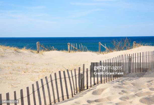 sand fence at empty beach - cape cod stock pictures, royalty-free photos & images