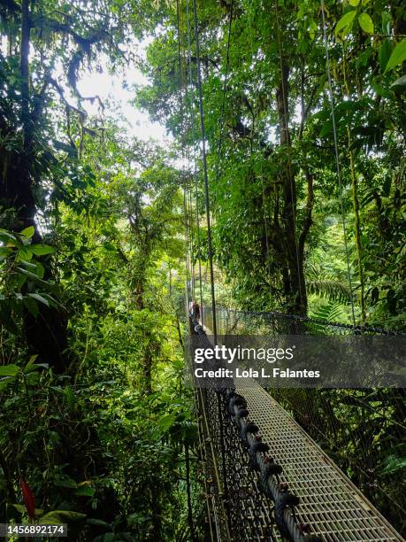 suspension bridge. arenal volcano national park costa rica - arenal volcano national park stock pictures, royalty-free photos & images