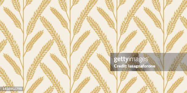 wheat grain hand drawn seamless pattern - grain texture stock illustrations