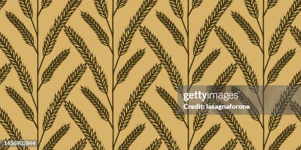 wheat grain hand drawn seamless pattern - malt stock illustrations