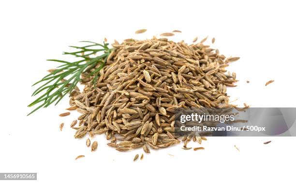 close-up of herb against white background,romania - fennel seeds stock pictures, royalty-free photos & images