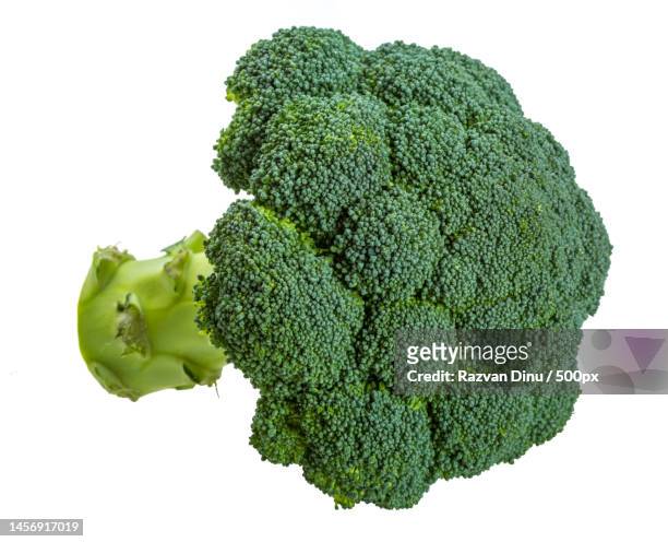 close-up of broccoli against white background,romania - brocolli stock-fotos und bilder
