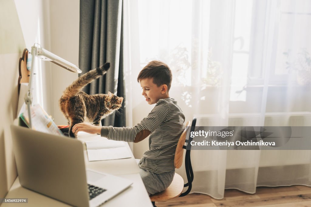 Homework Remotely In Quarantine Elementary School Child With British ...