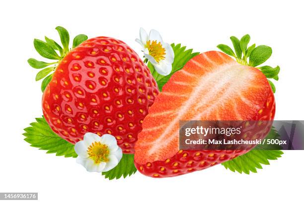 strawberry with leaves and flowers isolated on white background - coronaal doorsnede stockfoto's en -beelden
