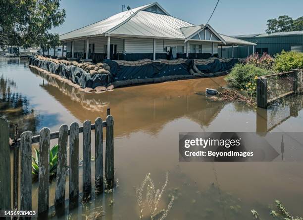 old bungalow house on the river murray waterfront with makeshift sandbag levee and black plastic sheeting to protect it from the rising floodwaters. - damaged fence stock pictures, royalty-free photos & images