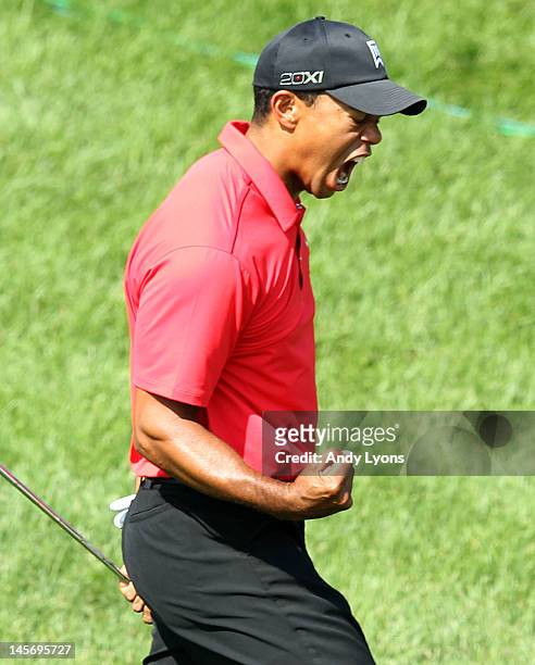 Tiger Woods celebrates after chipping in for birdie on the par 3 16th hole during the final round of the Memorial Tournament presented by Nationwide...