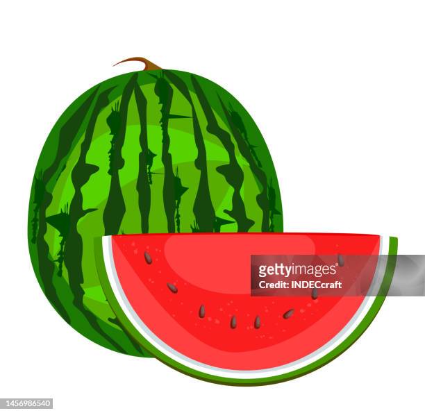 watermelon with slice - pineapple plant stock illustrations