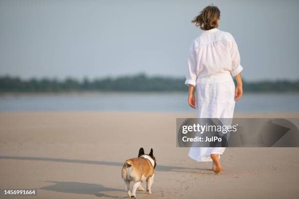 junge erwachsene frau geht mit ihrer französischen bulldogge am strand spazieren - women in see through dresses stock-fotos und bilder