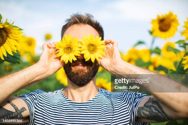 young adult man at sunflower field - zonnenbloem stockfoto's en -beelden