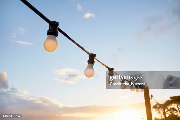 string lights against sky during sunset - leigh french 個照片及圖片檔