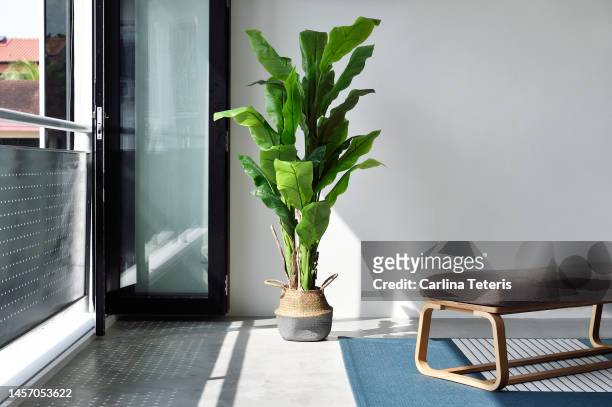artificial palm tree in a loft apartment - palm tree leaves stock pictures, royalty-free photos & images