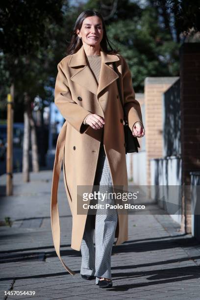 Queen Letizia of Spain attends a meeting at FEDER headquarters on January 17, 2023 in Madrid, Spain.