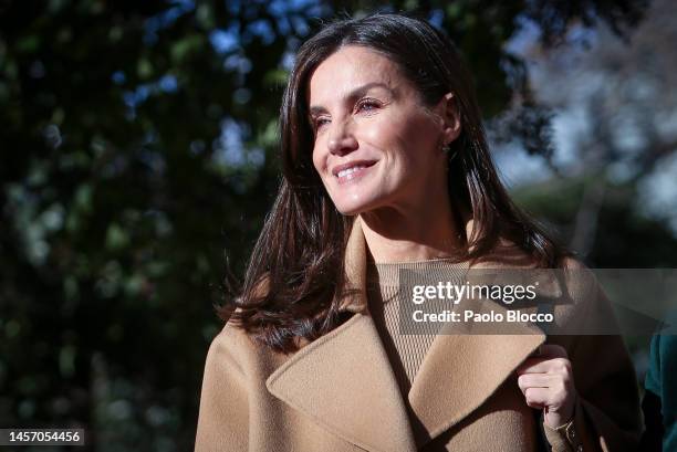 Queen Letizia of Spain attends a meeting at FEDER headquarters on January 17, 2023 in Madrid, Spain.