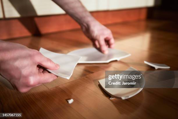 shards of broken plate on floor - smashed crockery stock pictures, royalty-free photos & images