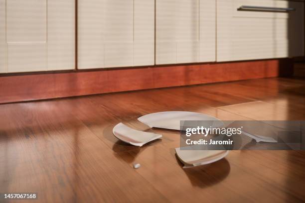 shards of broken plate on floor - smashed crockery stock pictures, royalty-free photos & images