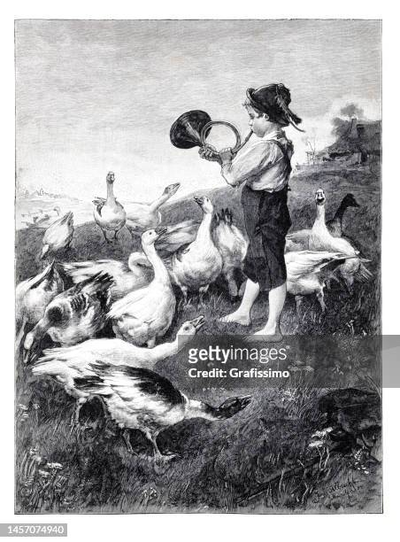 bavarian boy tending goose on meadow 1899 - wind instrument stock illustrations