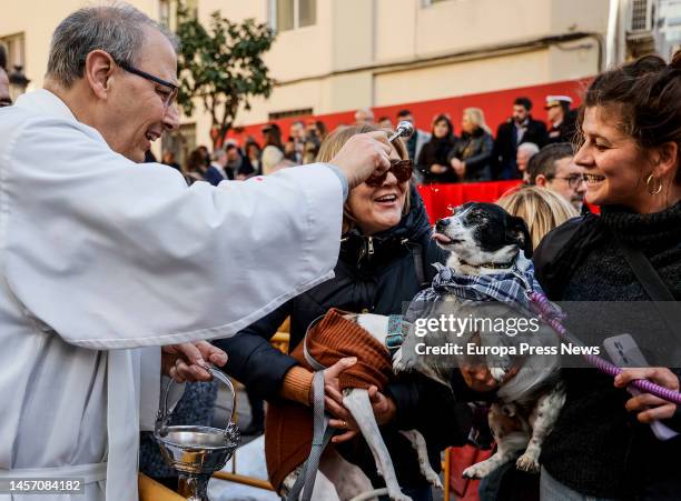 Two women attend with their dogs to the traditional blessing and parade of animals on the occasion of the feast of San Antonio Abad, on 17 January,...