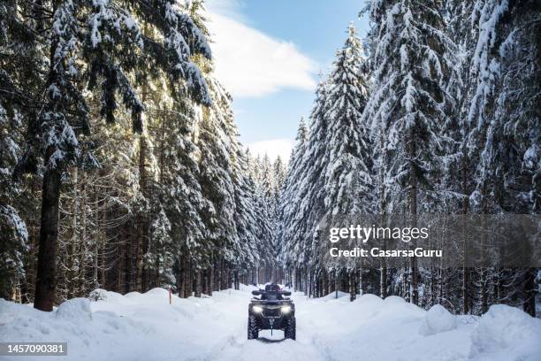 reaching the remote location in the woods with an atv - quadbike stock pictures, royalty-free photos & images