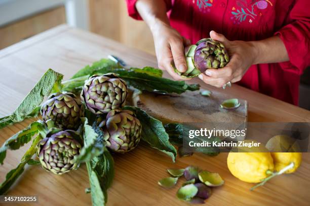 woman preparing fresh artichokes - artichoke stock pictures, royalty-free photos & images