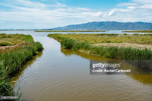 ebro delta estuary and wetlands. - ebro delta stock pictures, royalty-free photos & images