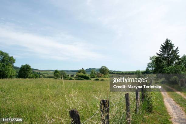 landscape field with grass and trees on the horizon. simple landscape. solitude with nature. suburb. village. - rural scene stock-fotos und bilder