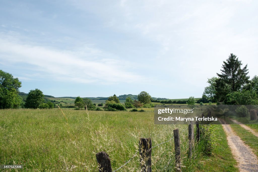 Landscape field with grass and trees on the horizon. Simple landscape. Solitude with nature. Suburb. Village.