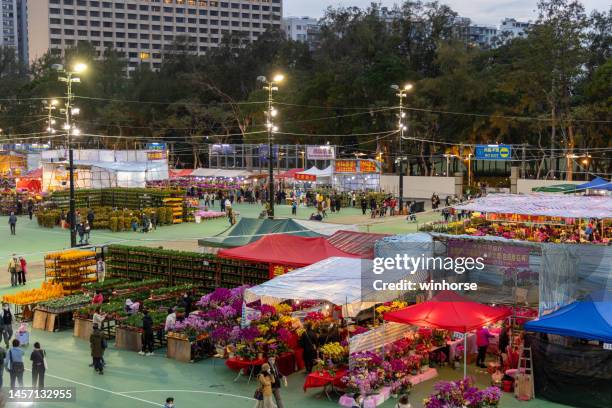 chinese new year flower market in hong kong - flower stall stock pictures, royalty-free photos & images